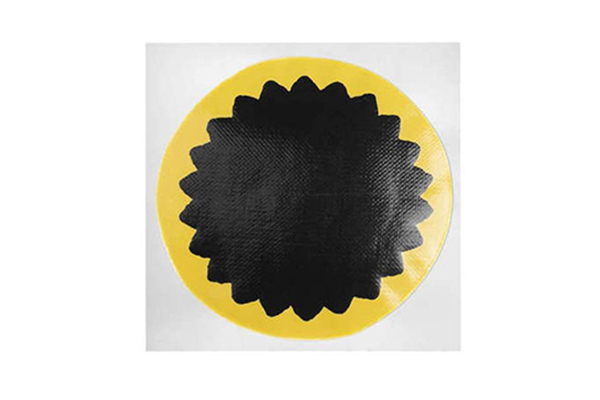 PARCHE CAMARA  R 03 RED. 60 MM (65)