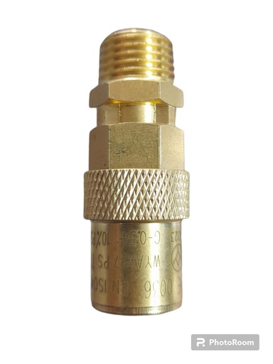 [GT-30200-SV] VALVULA DE SEGURIDAD 1/4 VM